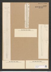 Nitzschia angularis var. borealis Grun. (de-Toni-Nr.: Genus 47, Species 2086) Zeichnungen Sammlung Grunow Nr. 4142 (NHMW-BOT-W0372020)